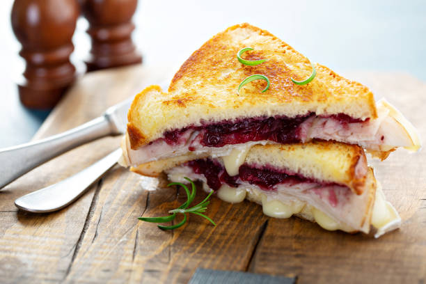 formaggio alla griglia con salsa di tacchino e mirtillo rosso - provolone foto e immagini stock