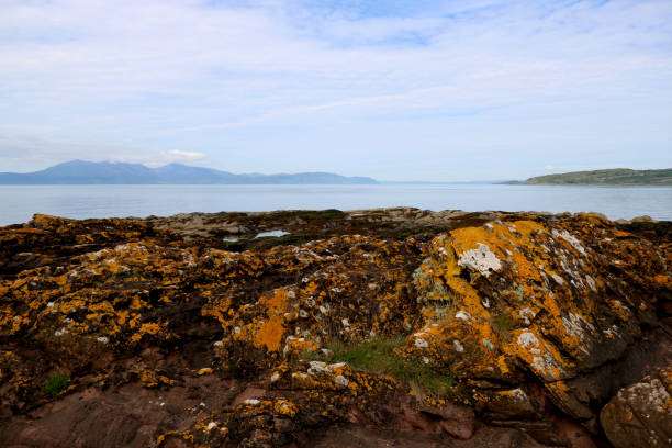 istock Algae Covered Rock Outcrop at a Coastal Location 1325967209