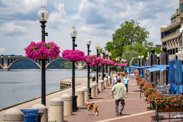Georgetown waterfront broadwalk during summer season. stock photo