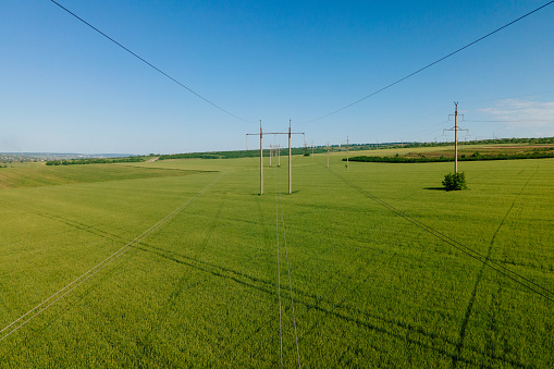 aerial view of High voltage electric towers and Flying over a field of wheat. Modern agriculture. Drone flying over green wheat field in spring. Transmission power line.