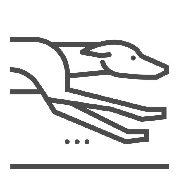 windhunde, quadratische linie vektor-symbol. - windhund stock-grafiken, -clipart, -cartoons und -symbole