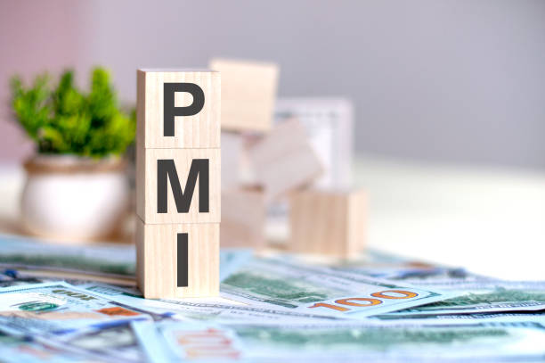 wooden cubes with the letters PMI arranged in a vertical pyramid on banknotes, business concept Wooden cubes with the letters PMI arranged in a vertical pyramid on banknotes, green plant in a flower pot on the background. PMI - short for Project Management Institute, business concept. electronic organizer photos stock pictures, royalty-free photos & images