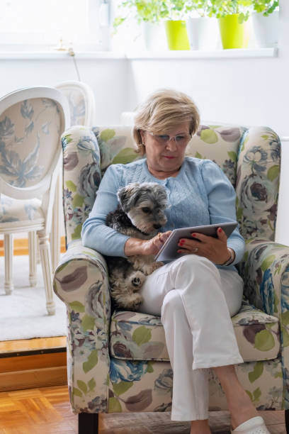 Senior woman with her little dog stock photo
