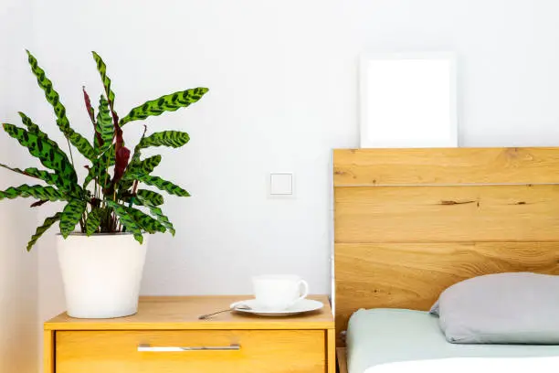 wooden bedside table with Calathea in a flowerpot, tea or coffee cup on a saucer, head of the wooden bed is decorated with a white frame with copy space. Morning concept. Houseplants for interior design.