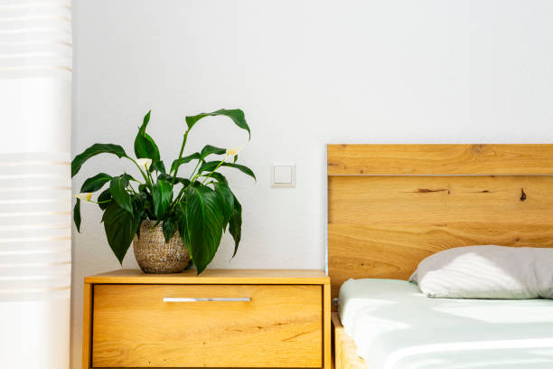 istock peace lily in bed room 1325976038