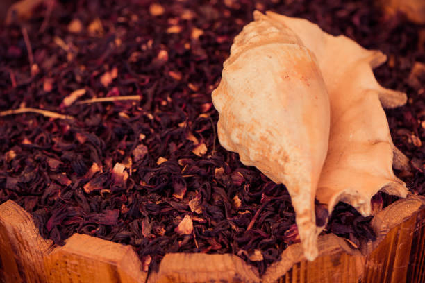 herbata hibiskus z muszlą morską – zdjęcie