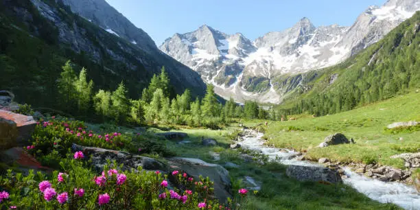 beautiful alpine landscape in Austria