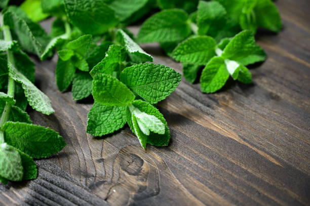 menta cruda fresca sobre una tabla de cortar de madera. - mint leaf peppermint spearmint fotografías e imágenes de stock