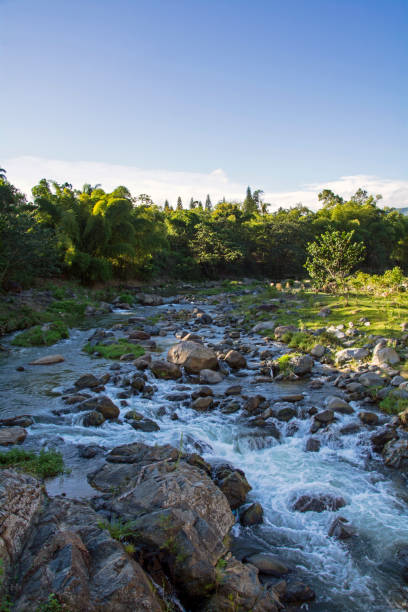 istock Views of the Jimenoa River in Jarabacoa 1325982676