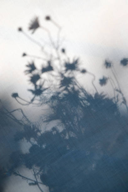 istock Blue floral shadows on linen fabric as a background 1325982817