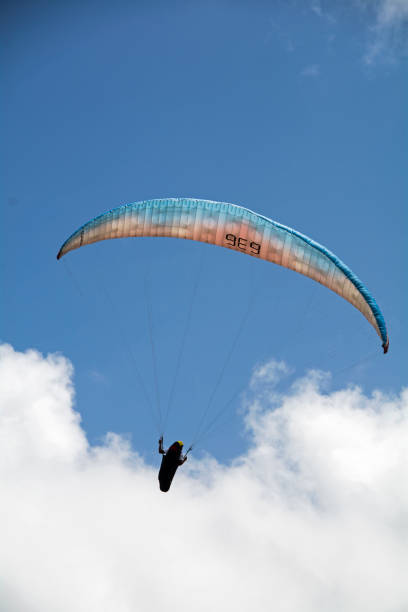 istock Silhouette of Paraglider 1325983022