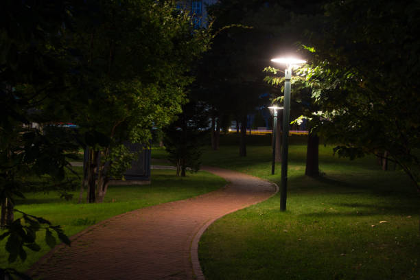 istock Park at night with street lights 1325990439