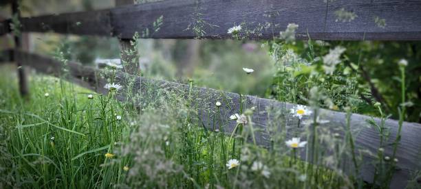 Farm yard Fence Line