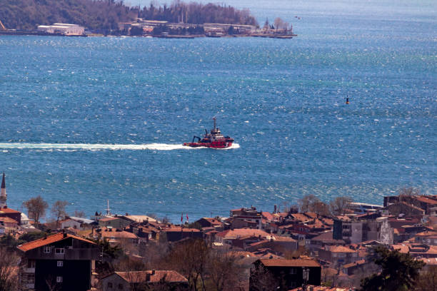 istock boat in the sea 1325995002
