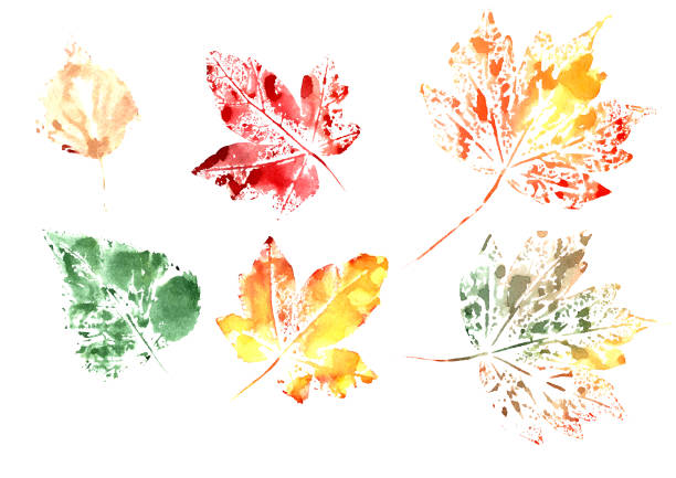 istock set of autumn watercolor leaves on a white background 1325997416