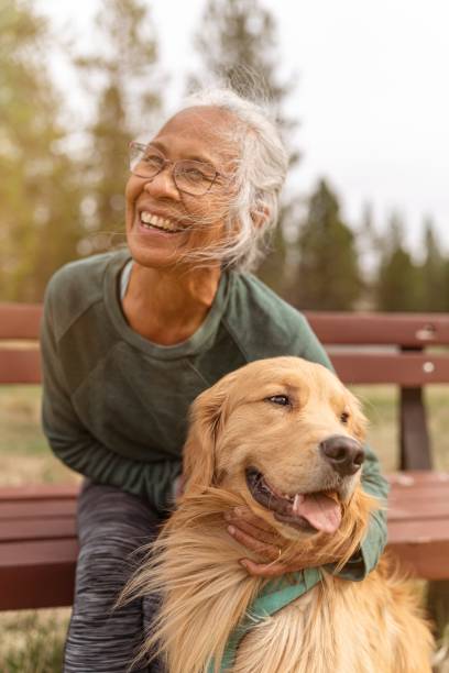 active ethnic senior woman enjoying the outdoors with her pet dog - 金毛尋回犬 圖片 個照片及圖片檔
