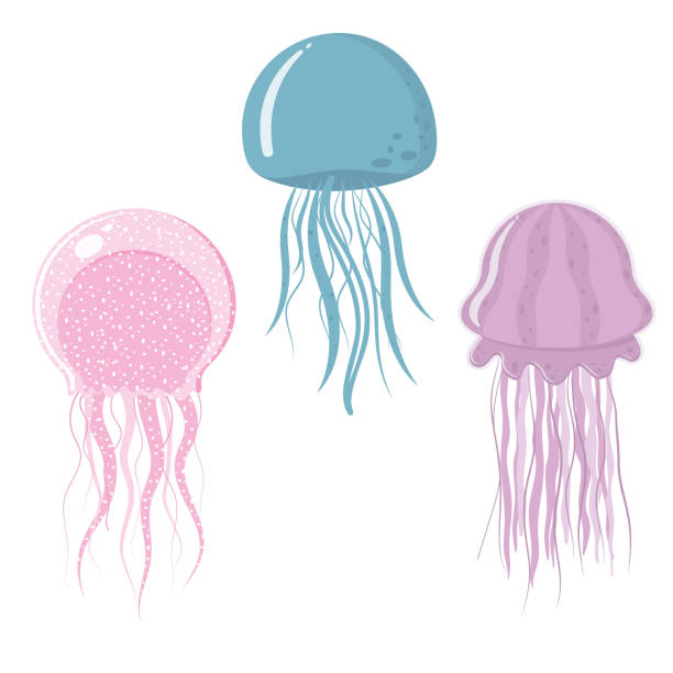 istock Set of multicolored jellyfish isolated on a white background, color vector illustration 1326002015