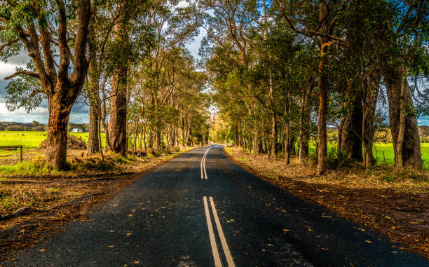 istock Margaret River Country Road 1326002783