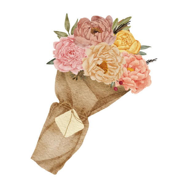Peony Flower Bouquet With Paper Wrap Watercolor Illustration Stock  Illustration - Download Image Now - iStock