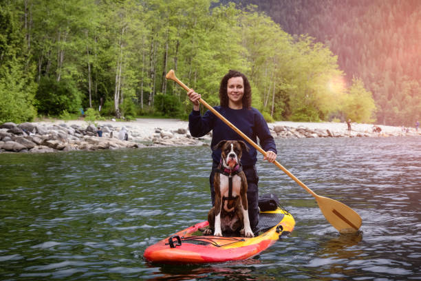 Adult Caucasian Adventure Woman on a paddle board with boxer dog Adult Caucasian Adventure Woman on a paddle board with boxer dog. Alouette Lake in Golden Ears by Maple Ridge, Greater Vancouver, British Columbia, Canada. alouette lake stock pictures, royalty-free photos & images