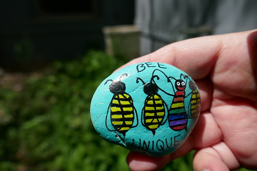 Diversity message painted onto kindness rock with rainbow colored bee