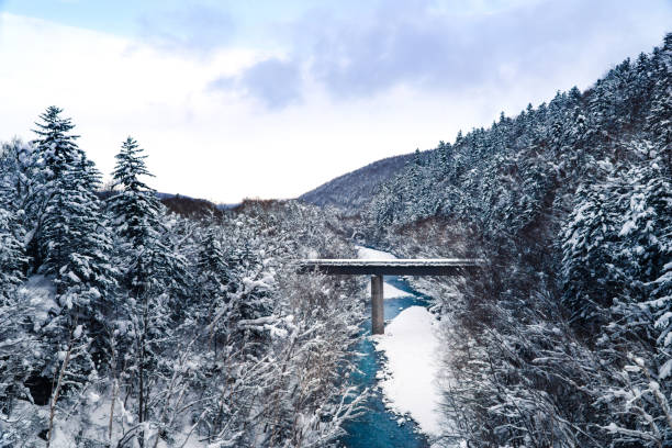 Biei blue river screen and bridge among white forest on winter. Biei blue river screen on winter. Bridge among white forest in morning. Hokkaido, Japan. furano basin stock pictures, royalty-free photos & images