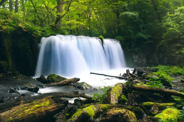 Photo of Choshi Waterfall at Oirase stream on summer at Japan.