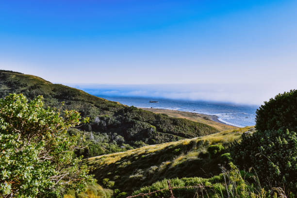 ロストコースト、カリフォルニア州北部。 - humboldt county california coastline island ストックフォトと画像