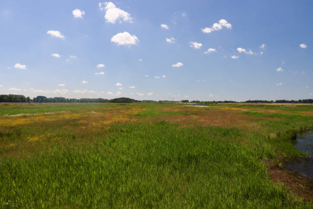 istock meadows, roads and canals in water storage Eendragtspolder in Zevenhuizen 1326016120