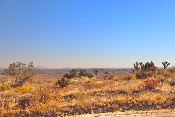 istock California Desert Landscape With Clear Blue Sky 1326017326