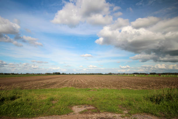 istock The lowest polder in the Netherlands Zuidplaspolder between Gouda and Rotterdam 1326017450