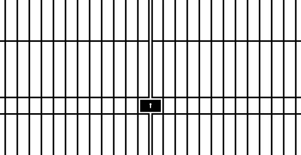 gefängnis, gefängnis metallstangen auf weißem hintergrund - prison cell illustrations stock-grafiken, -clipart, -cartoons und -symbole