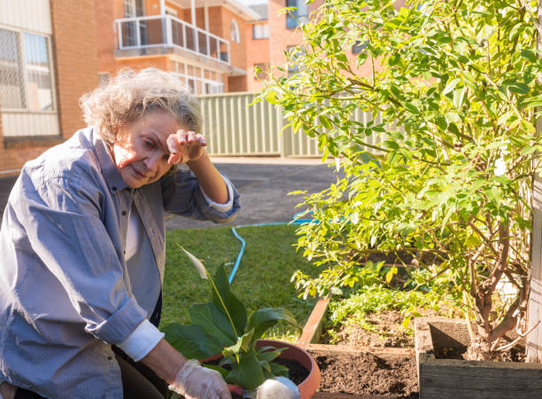 mujer mayor frotando la frente mientras jardinería - old senior adult women tired fotografías e imágenes de stock