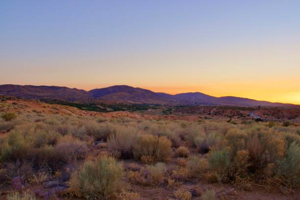 istock California Desert Landscape With Clear Blue Sky 1326019680