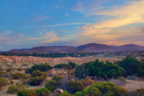 California Desert Landscape With Cloudy Sky