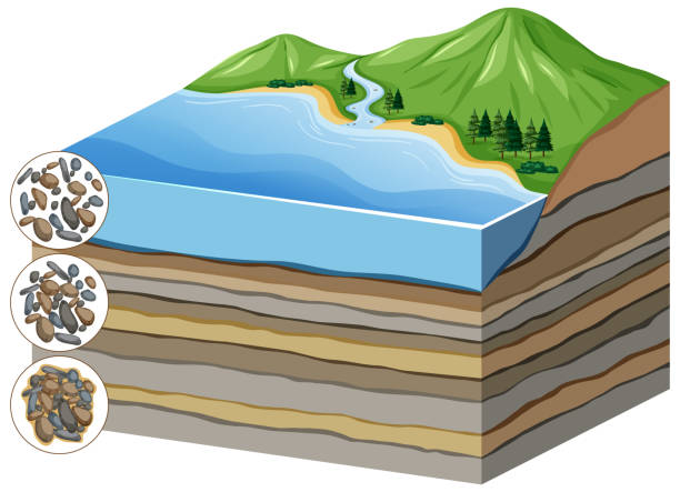 illustrazioni stock, clip art, cartoni animati e icone di tendenza di diagramma che mostra il processo di compattazione alla cementazione a strati - roccia sedimentaria