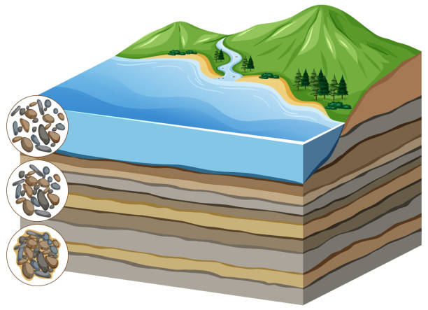 層のセメントへの圧縮のプロセスを示す図 - 堆積岩点のイラスト素材／クリップアート素材／マンガ素材／アイコン素材