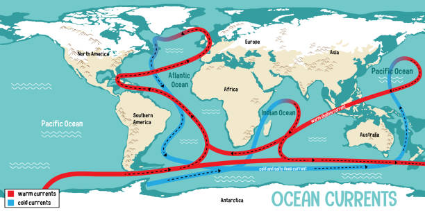 ilustrações de stock, clip art, desenhos animados e ícones de ocean currents on world map background - tide