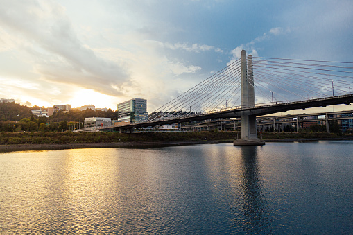 Portland's Tilikum crossing bridge in downtown Portland over the willamette river. The clouds in the background provide depth and texture to this image as the subject of the photo is the bridge.