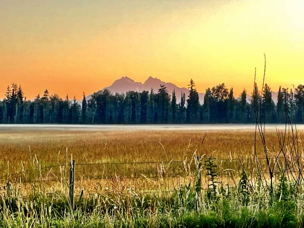 Coastal mountain at sunrise