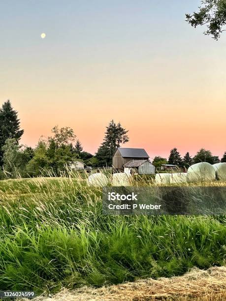 Canadian Farm At Sunrise Stock Photo - Download Image Now - Barn, Bale, Landscape - Scenery