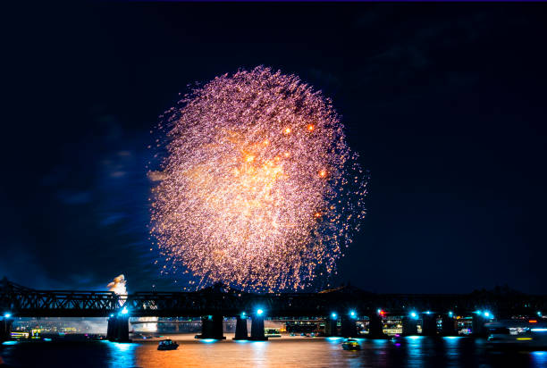 Fireworks in the night sky