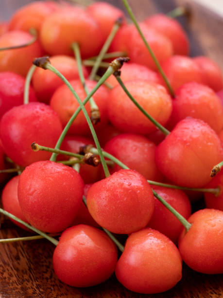 istock Japanese cherries 