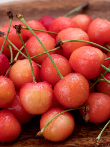 istock Japanese cherries 