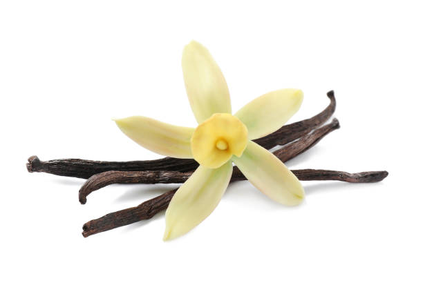 istock Aromatic vanilla sticks and beautiful flower on white background 1326031048