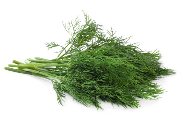 istock Bunch of fresh dill isolated on white 1326031889