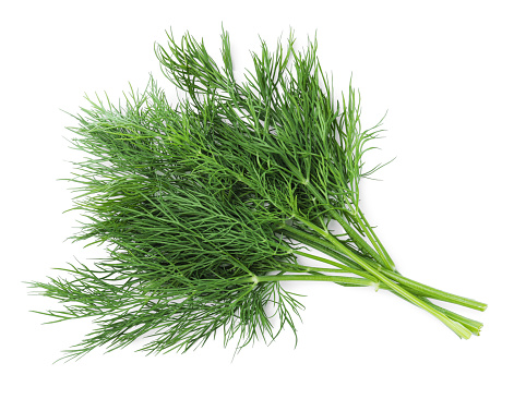 Bunch of fresh dill isolated on white, top view