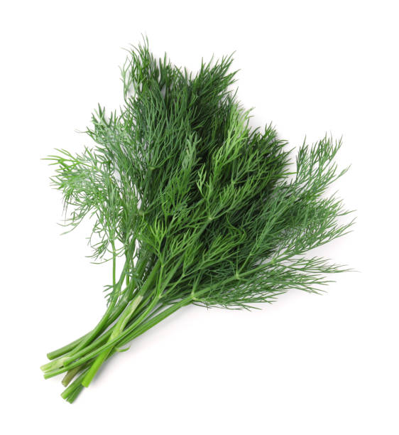 istock Bunch of fresh dill isolated on white 1326032189