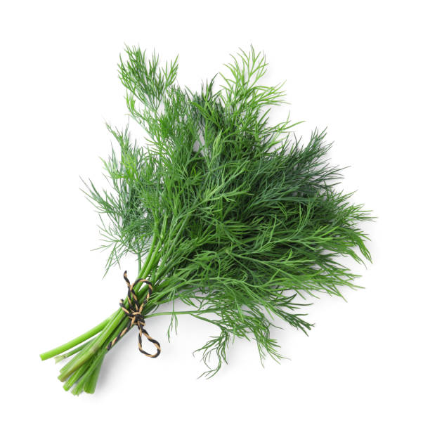 istock Bunch of fresh dill isolated on white, top view 1326032239