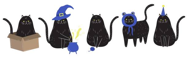 Grumpy black cat set Grumpy black cat in doodle style wearing birthday, animal and witch hat, playing with yarn, sitting in a box, boiling a potion. Funny childish pet character with serious face. Hand drawn vector black cat stock illustrations